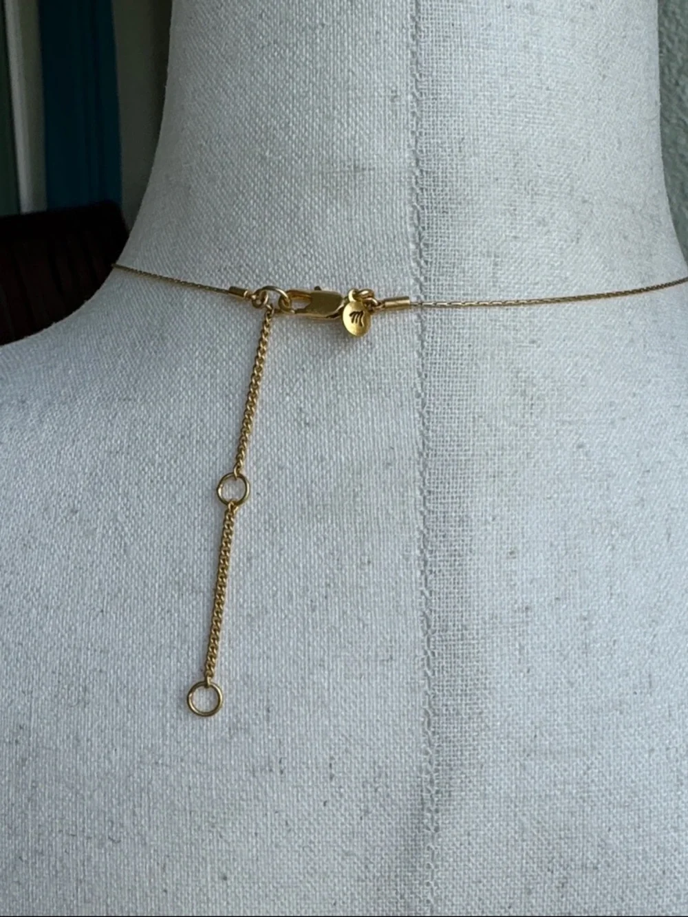Madewell dainty pendant necklace - NWOT - Picture 5 of 5